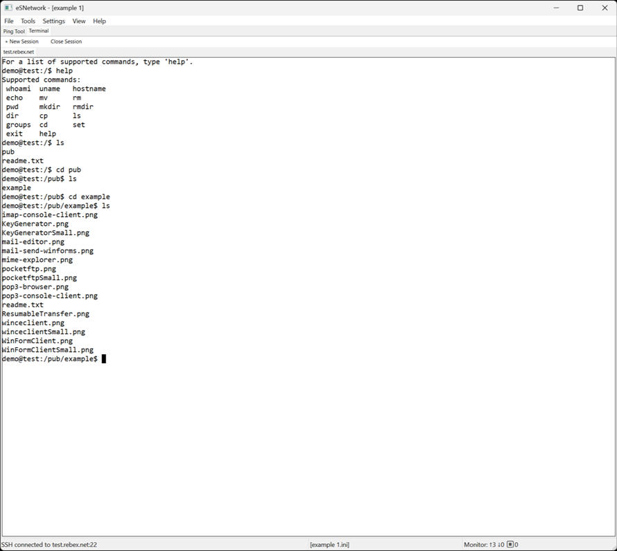 Multiple Terminal Sessions